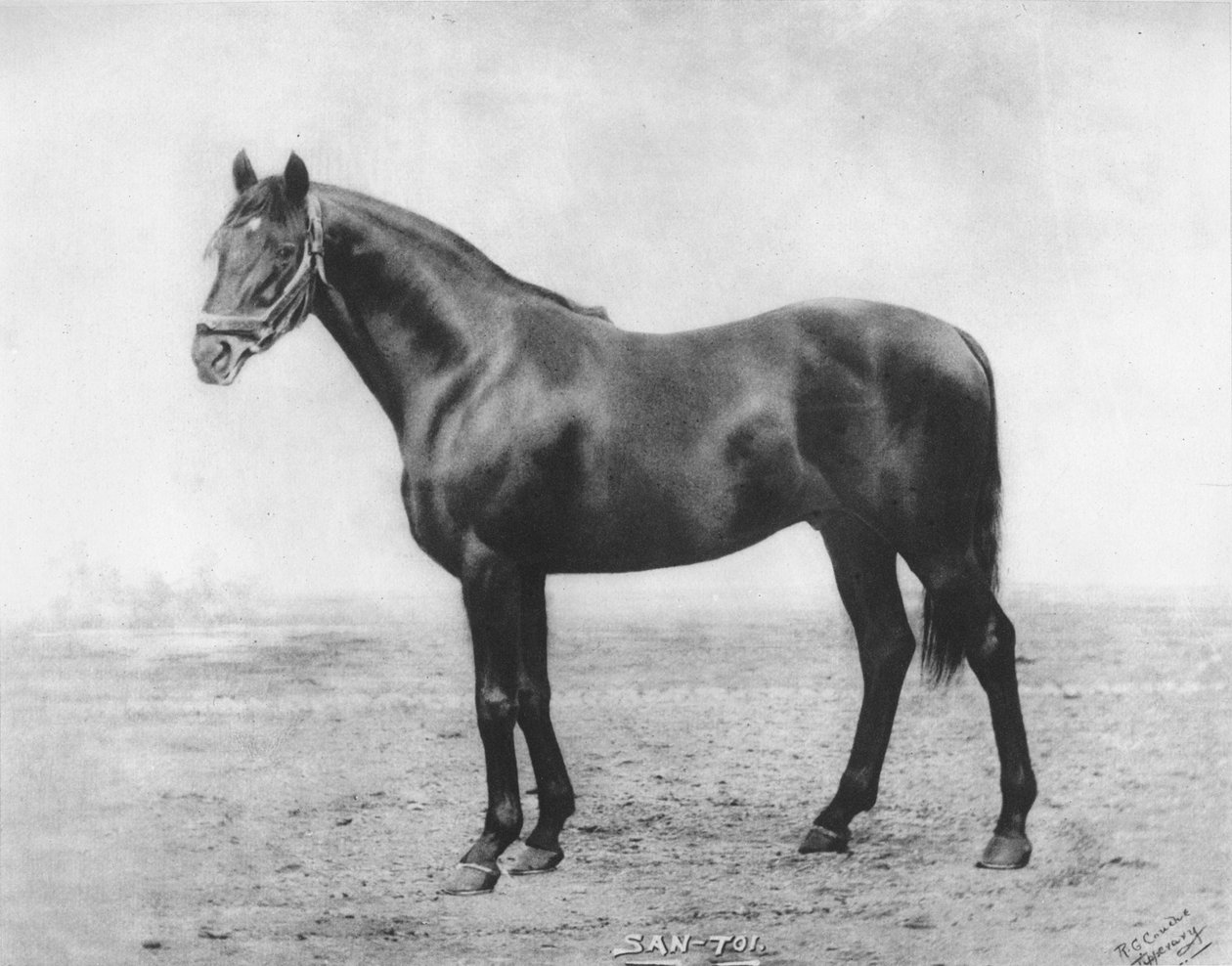 San-Toi, 1911 autorstwa Unbekannt