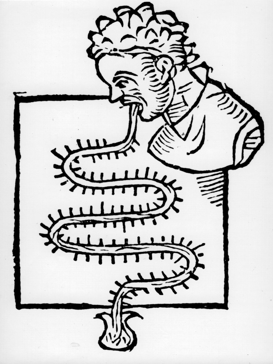 Termometr kliniczny sanktuarium, 1612 autorstwa Unbekannt