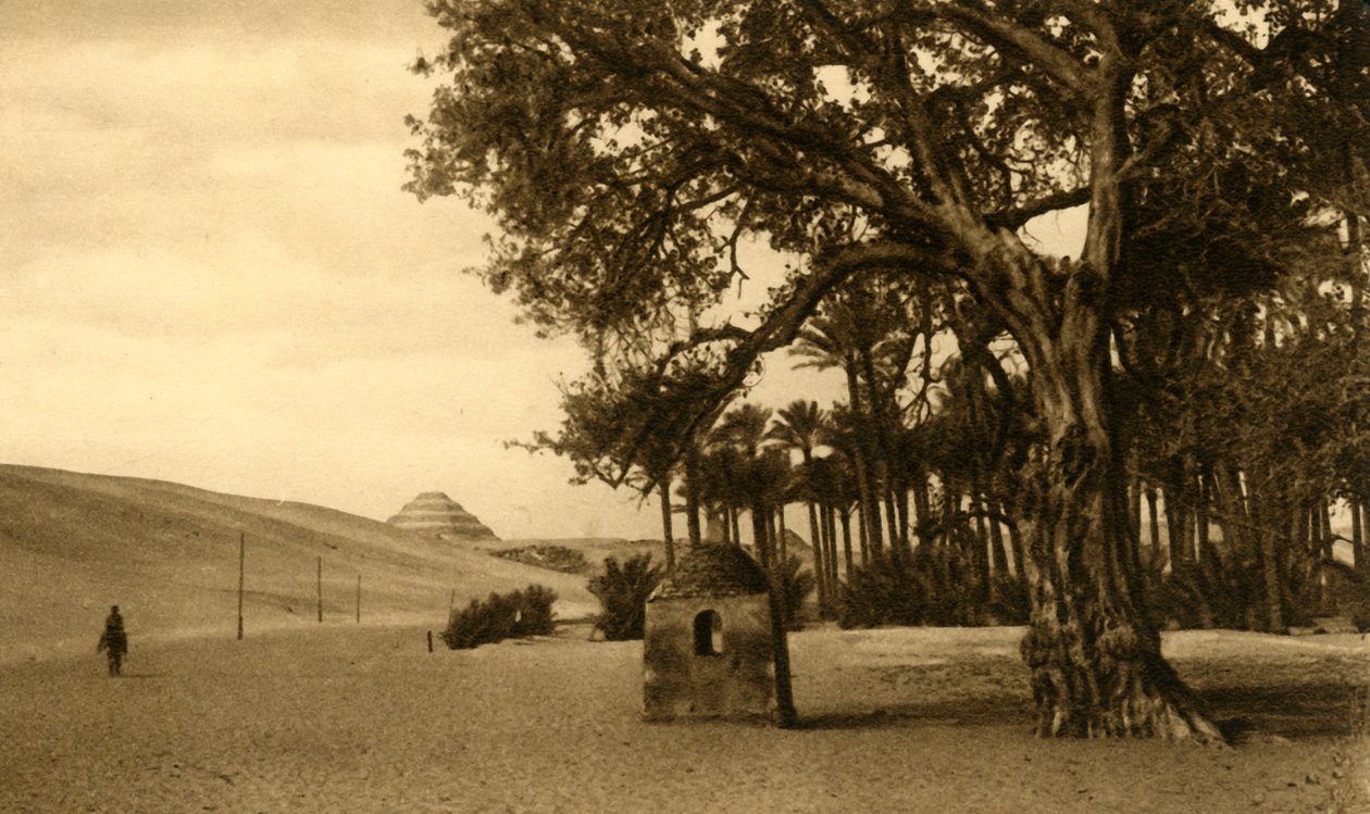 Saqqara - Piramida schodkowa widziana z Sycomore, c1918-c1939. autorstwa Unbekannt