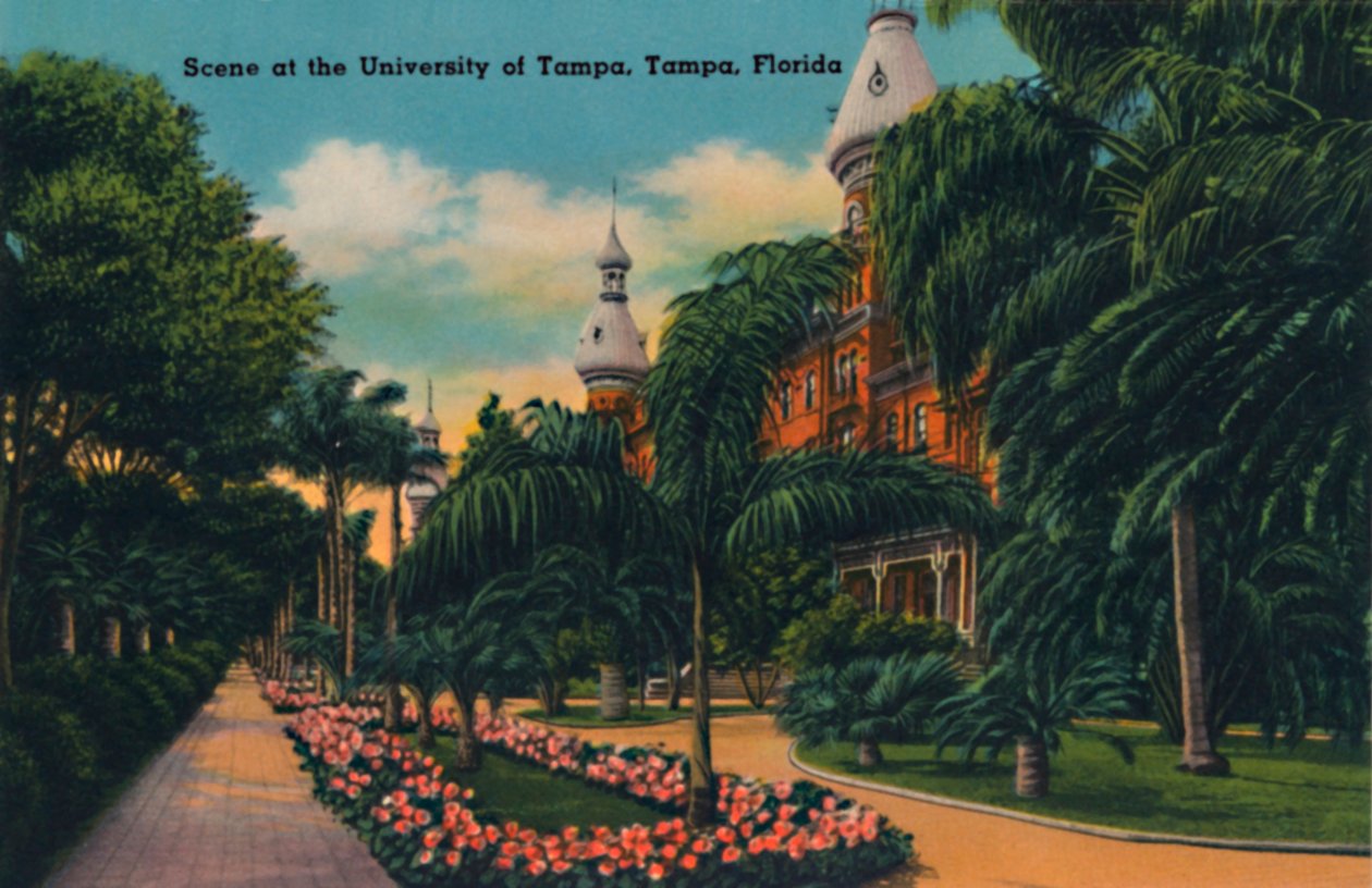 Scena na Uniwersytecie Tampa, Tampa na Florydzie, c1940 autorstwa Unbekannt