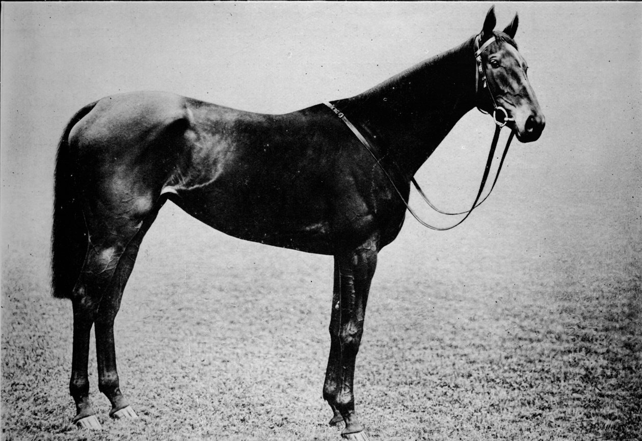 Berło, 1899-1926, 1911 autorstwa Unbekannt