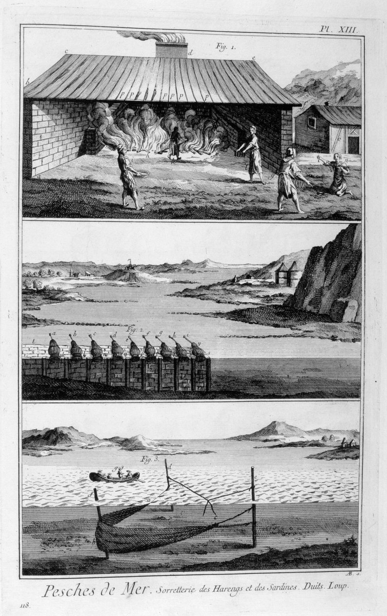 Rybołówstwo morskie, śledzie i sardynki, 1751-1777 autorstwa Unbekannt