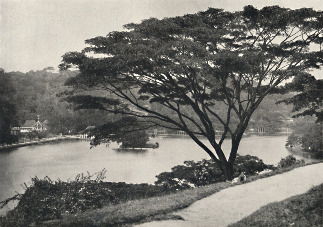 Jezioro, Świątynia Świętego Zęba Reed i Biblioteka w Kandy, widziana na wschód od Victoria Drive, 192 autorstwa Unbekannt
