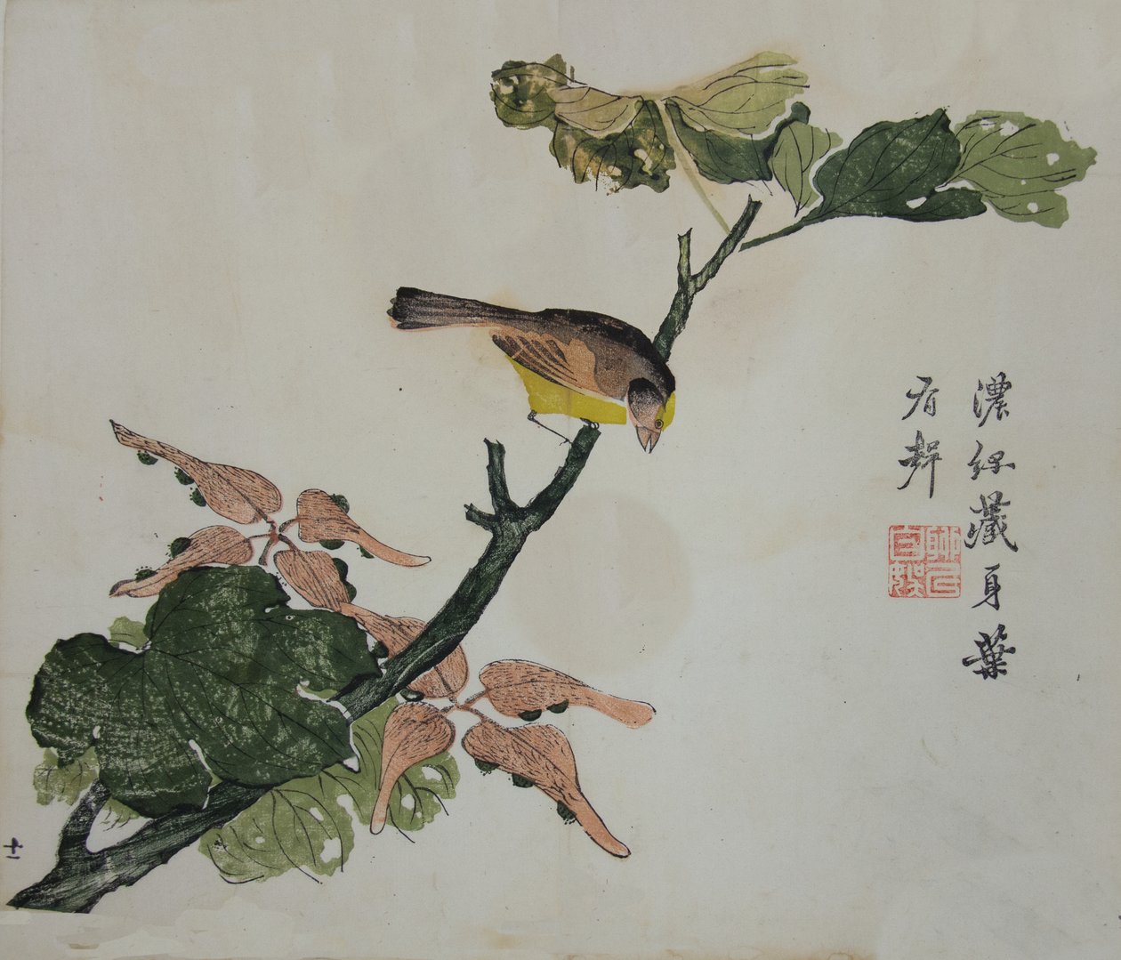 Nasiona i Aleuryty Cordata : Strona z The Mustard Seed Garden Manual z..., 1782, wydanie drugie. autorstwa Unbekannt