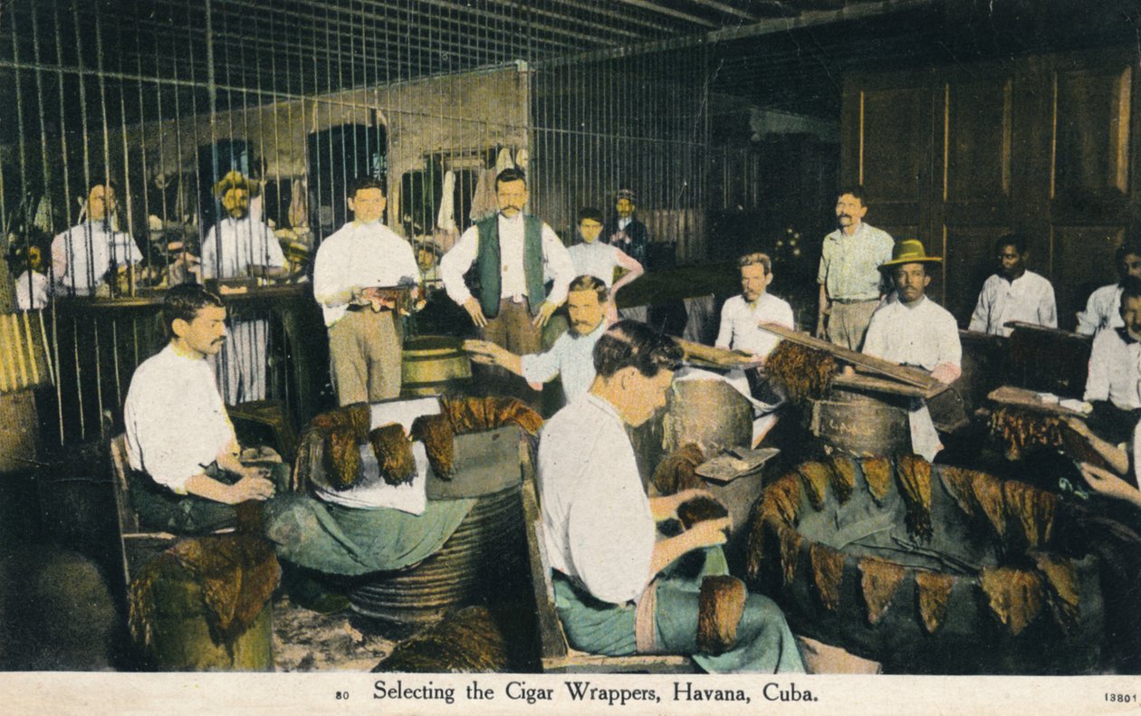 Wybór opakowań do cygar, Hawana, Kuba, ok. 1910 r. autorstwa Unbekannt