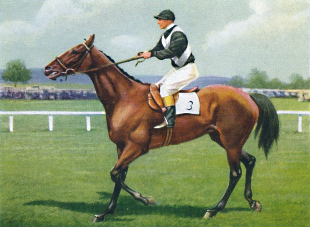 Shalfleet, Dżokej: R. Perryman, 1939 autorstwa Unbekannt