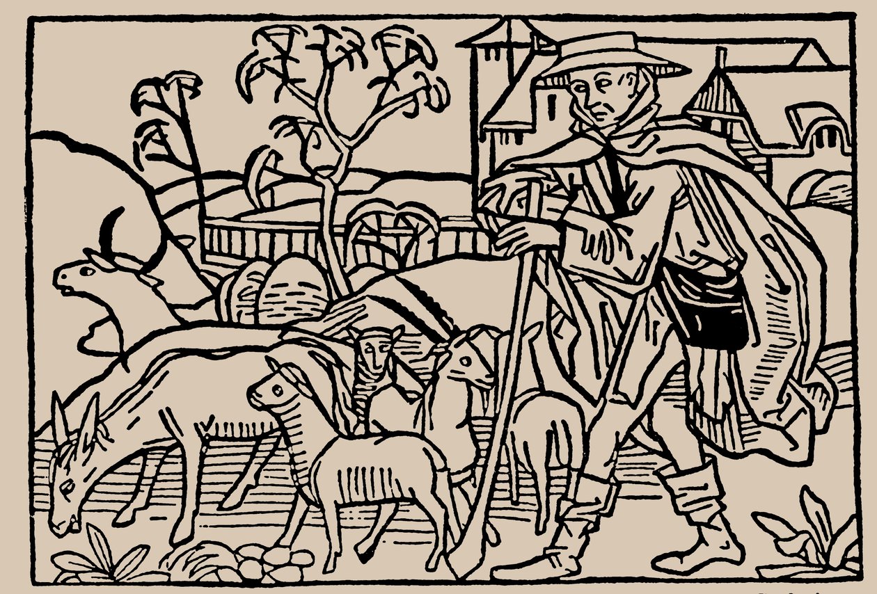 Pasterz. Z lustra ludzkiego życia Rodericus Zamorensis, 1479 autorstwa Unbekannt