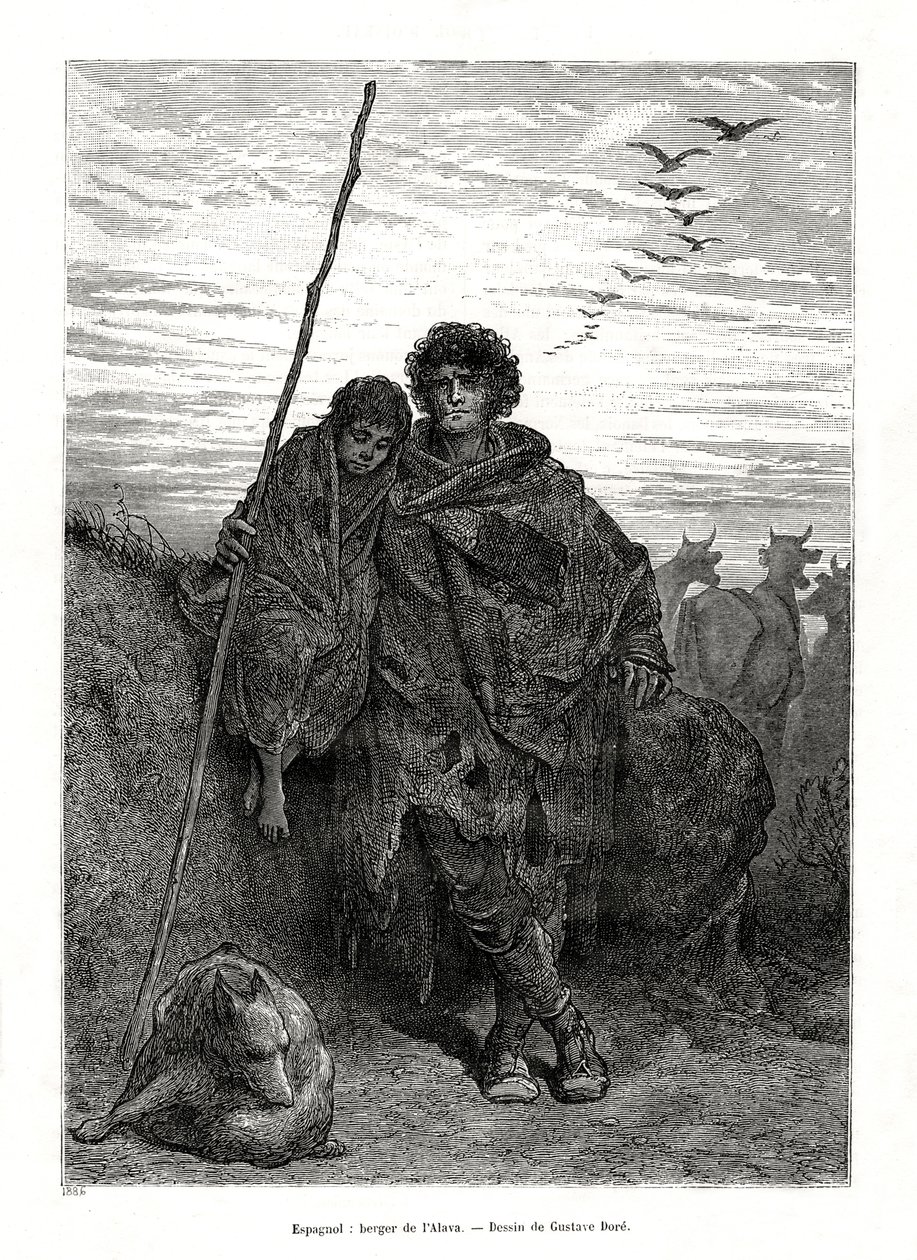 Pasterz z Alava, Hiszpania, 1886 r. autorstwa Unbekannt