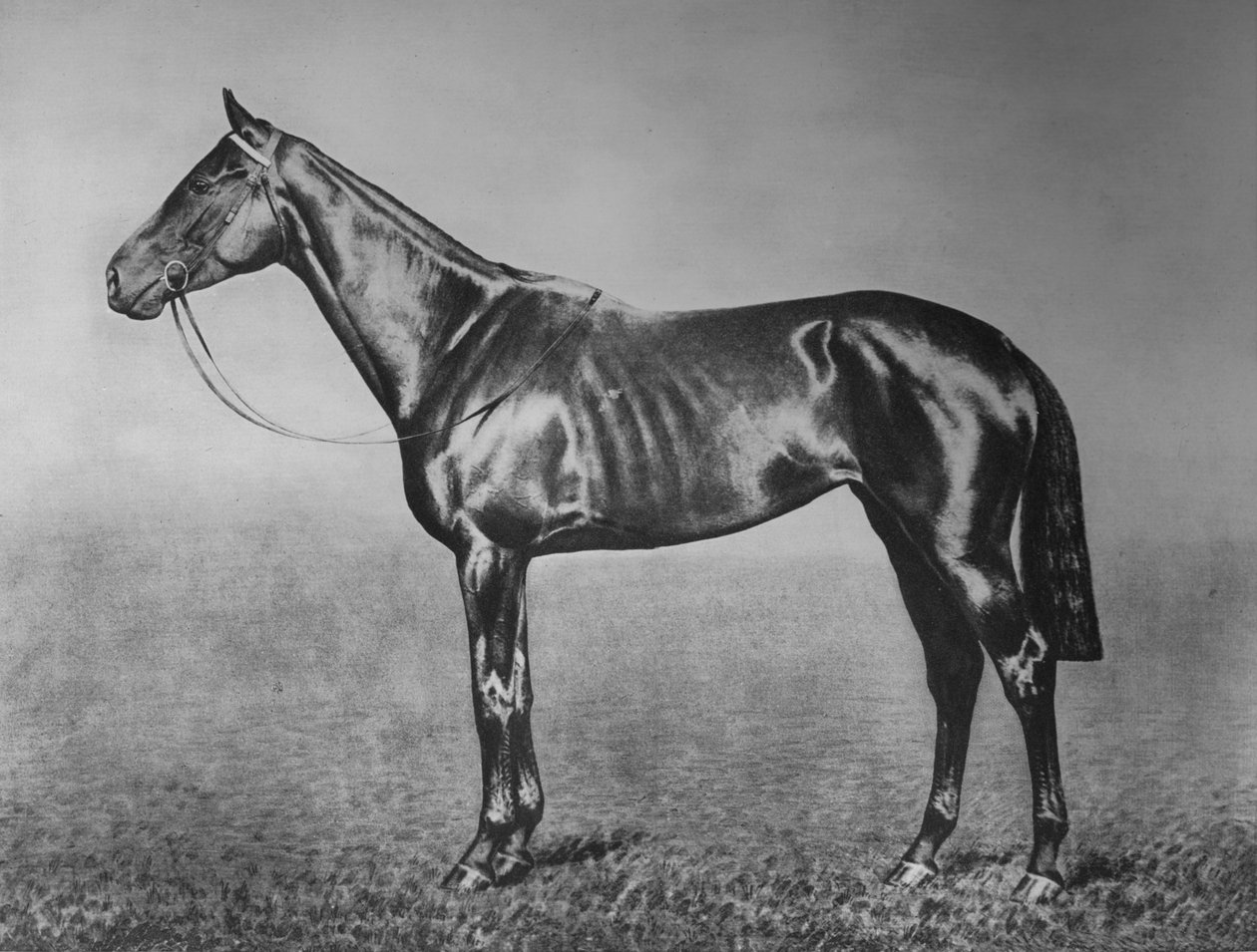 Miss, 1905-1928, 1911 autorstwa Unbekannt