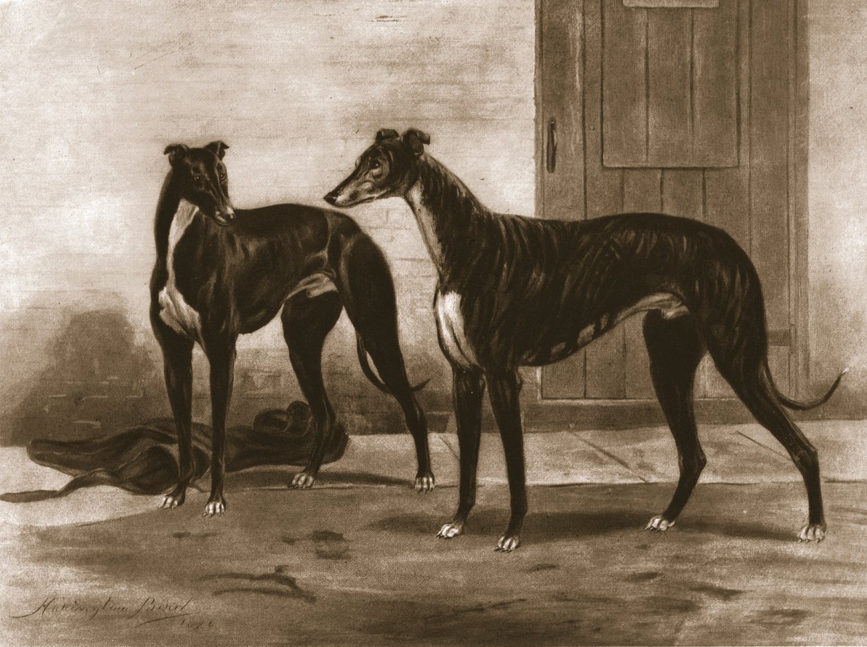 Simonian i Fullerton, ok. 1891, 1911. autorstwa Unbekannt