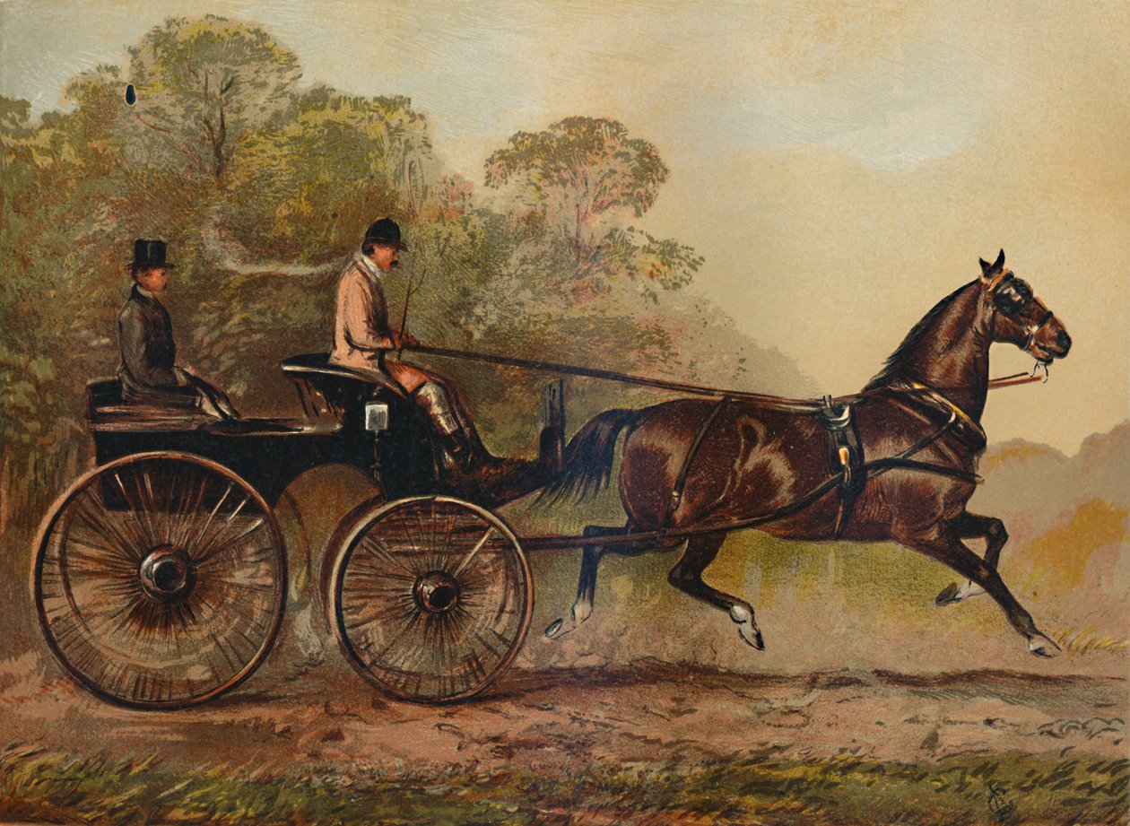 Pojedyncza uprząż Phaeton Horse Columbine. Własność Charles Baynes Esq., 1872, c1879 autorstwa Unbekannt