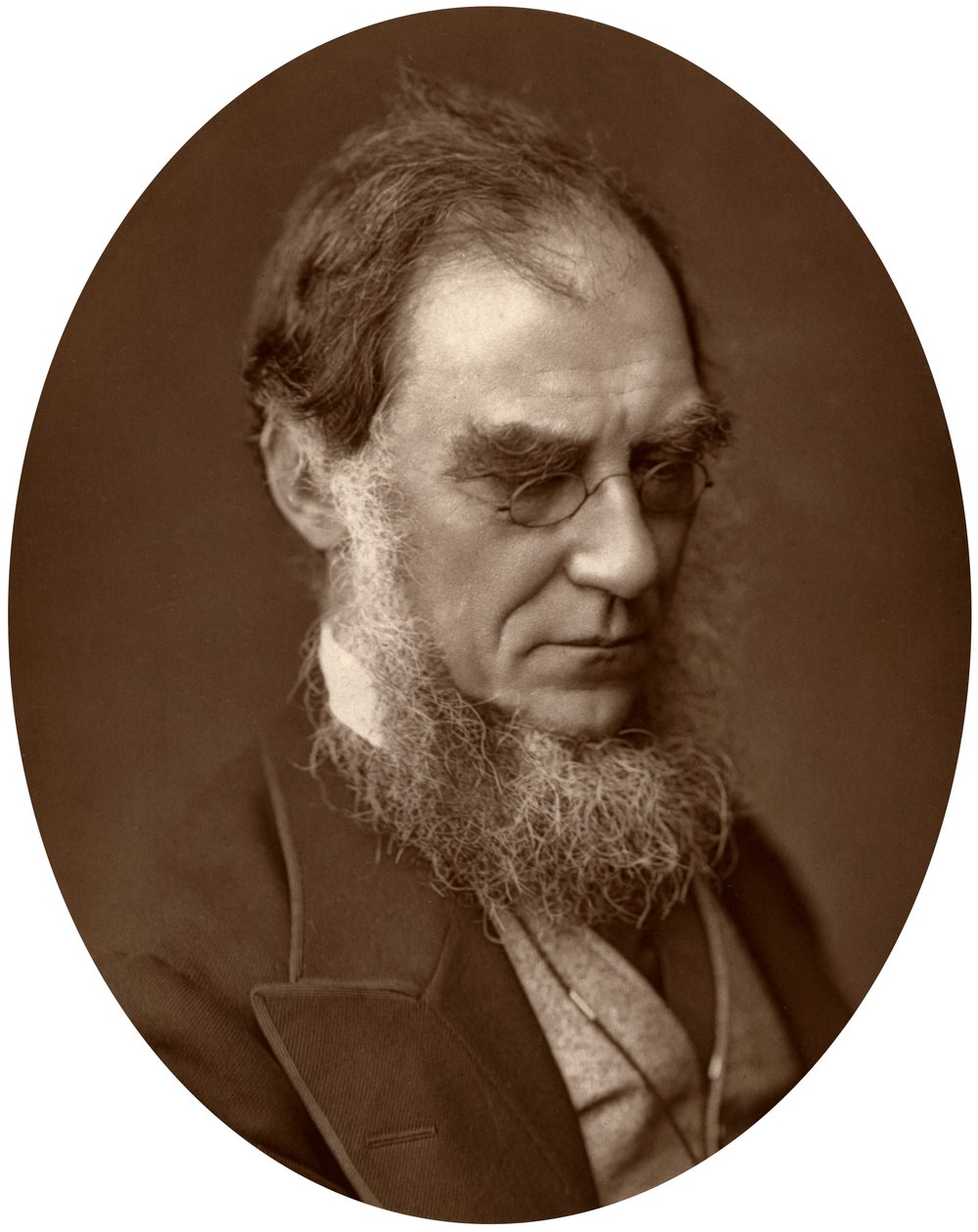 Sir Joseph Dalton Hooker, dyrektor ogrodów królewskich w Kew, 1881 r. autorstwa Unbekannt