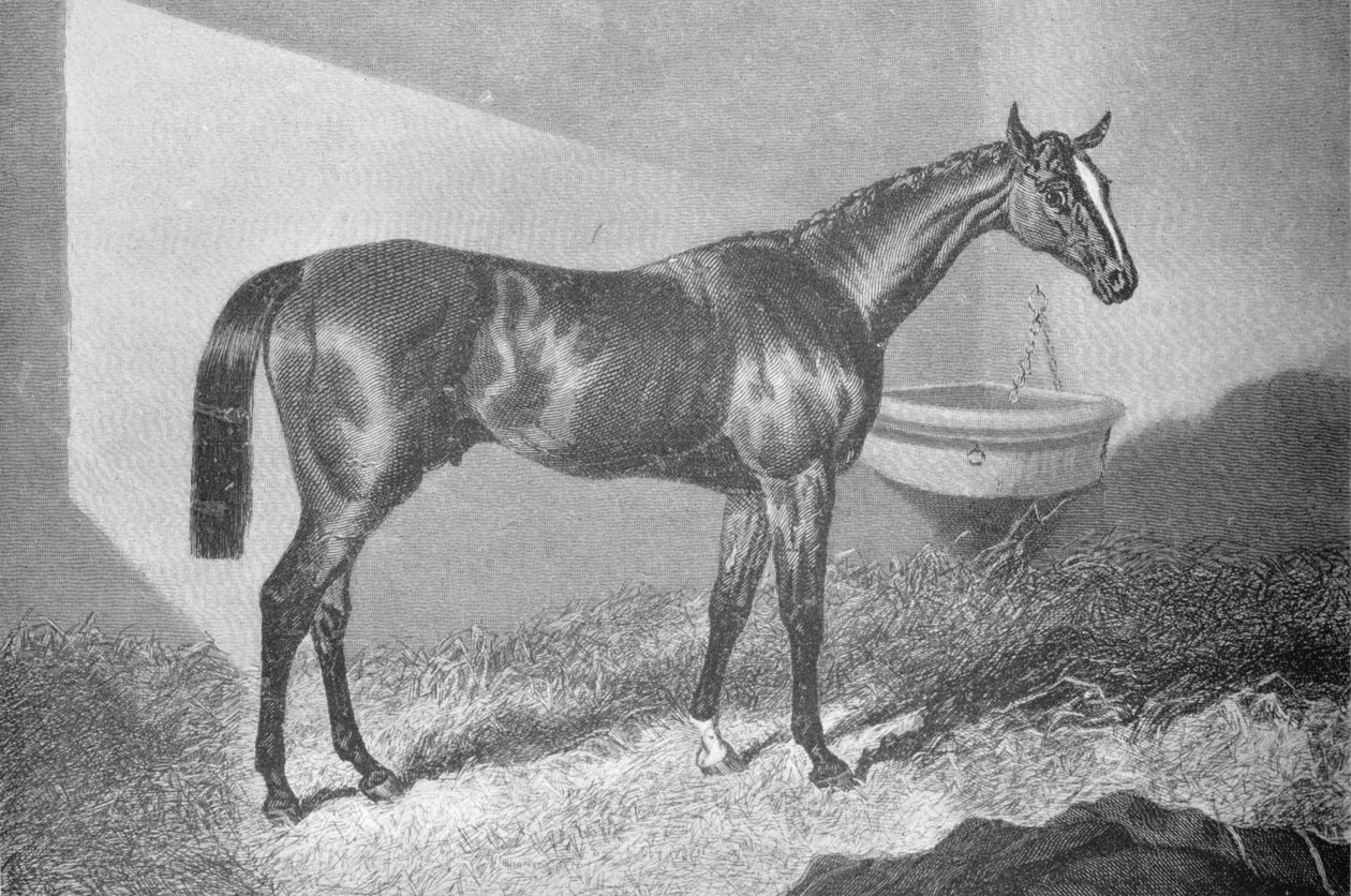 Sir Tatton Sykes, 1842-1860, 1911 autorstwa Unbekannt