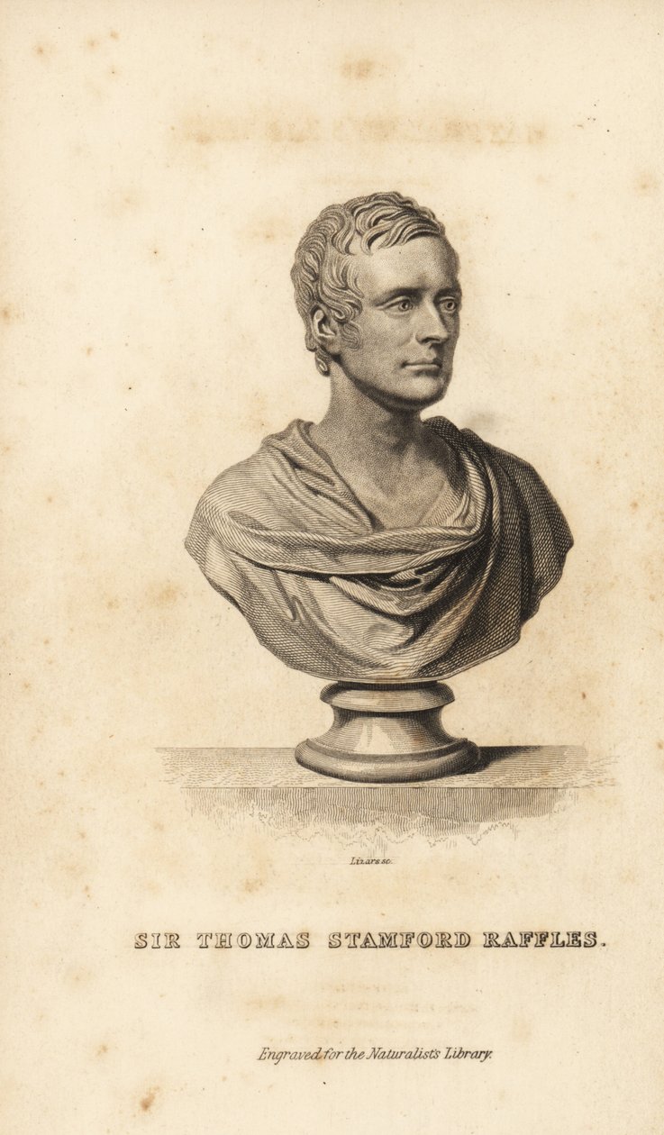 Sir Thomas Stamford Raffles, brytyjski mąż stanu, pisarz i przyrodnik autorstwa Unbekannt
