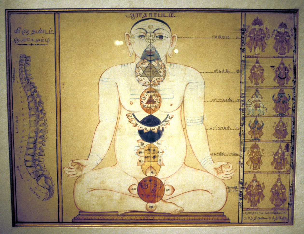 Sześć czakr reprezentujących sploty ludzkiego ciała, Tanjore, Tamil Nadu, ok. 1850 autorstwa Unbekannt
