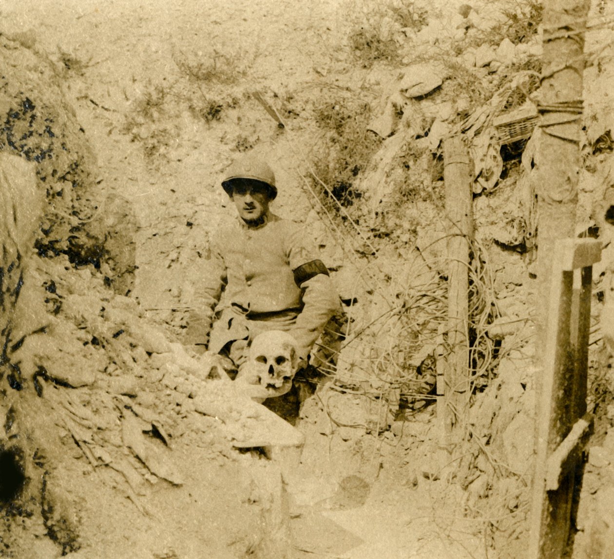 Czaszka znaleziona zakopana w okopach, c1914-c1918 autorstwa Unbekannt
