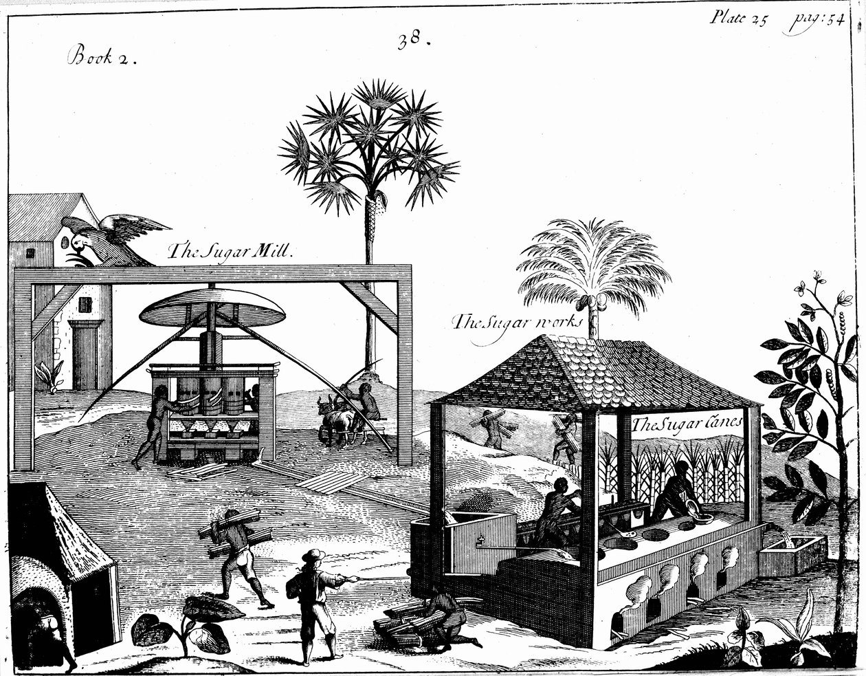 Praca niewolnicza na plantacji cukru w Indiach Zachodnich, 1725 autorstwa Unbekannt