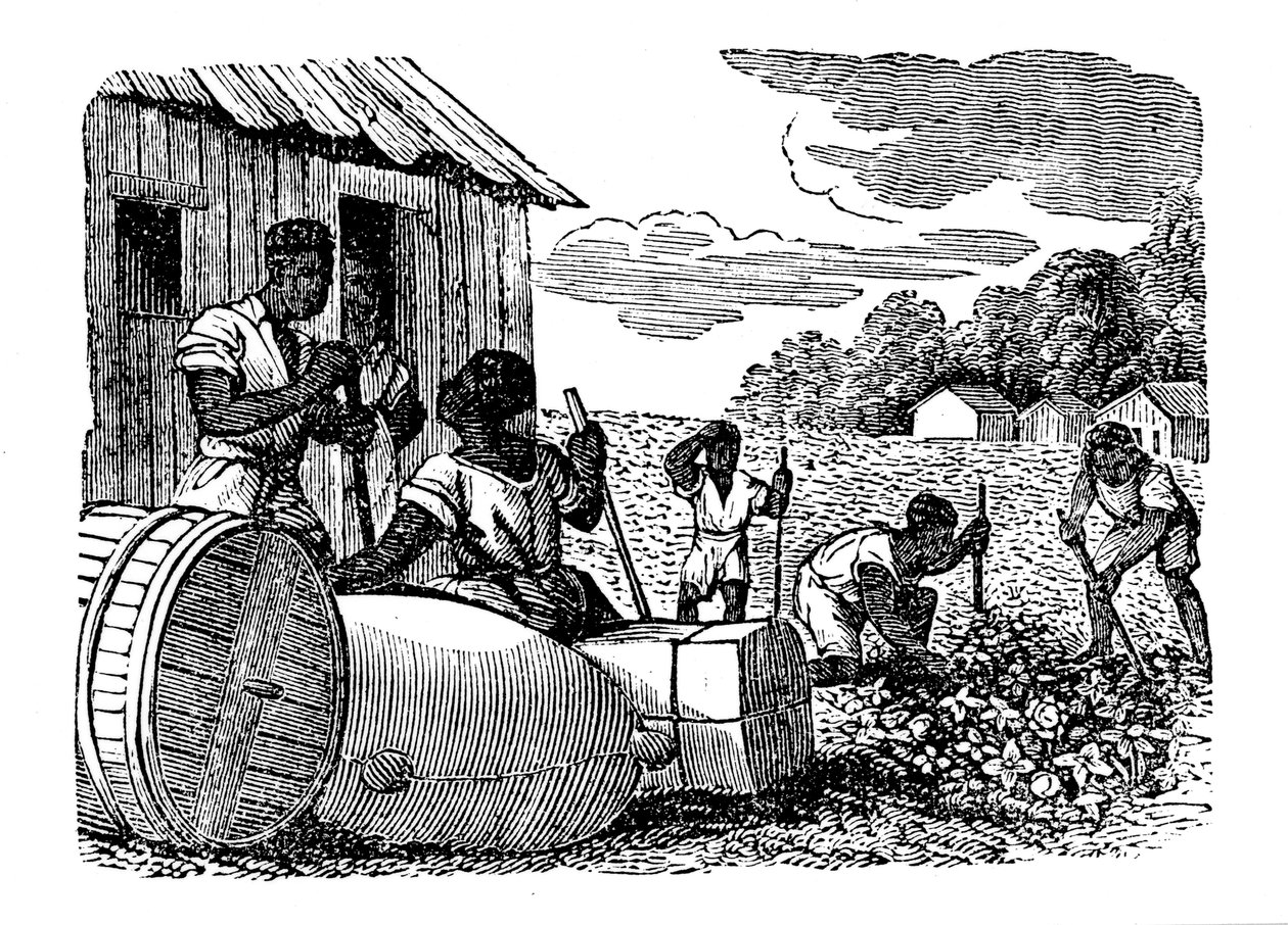 Niewolnicy pracujący na plantacji tytoniu, 1833 autorstwa Unbekannt