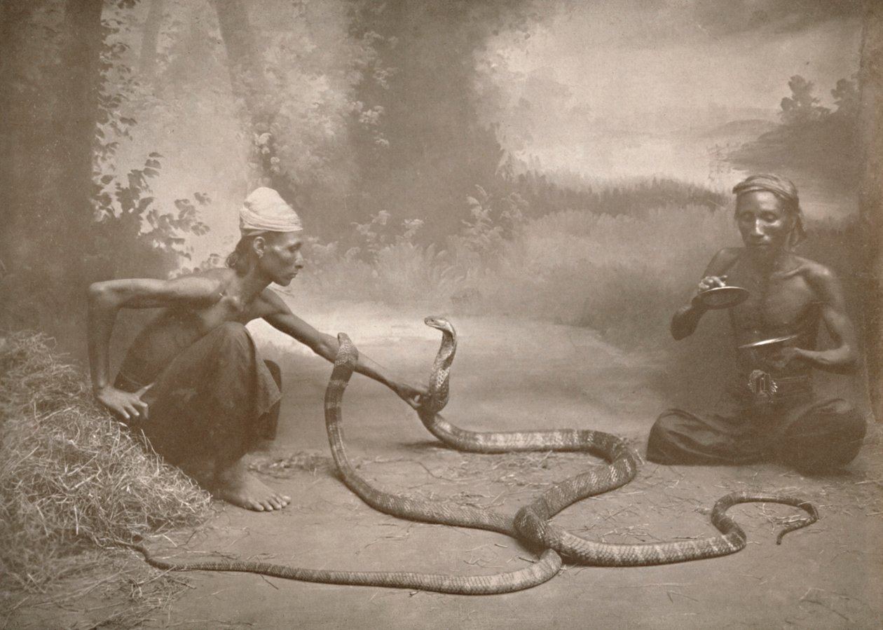 Zaklinacze węży z hamadriadami Kuy Cobras, 1900. autorstwa Unbekannt