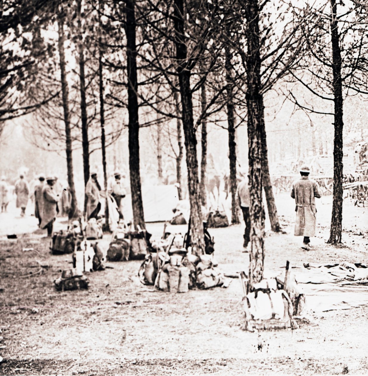 Żołnierze i sfory w lesie, c1914-c1918 autorstwa Unbekannt