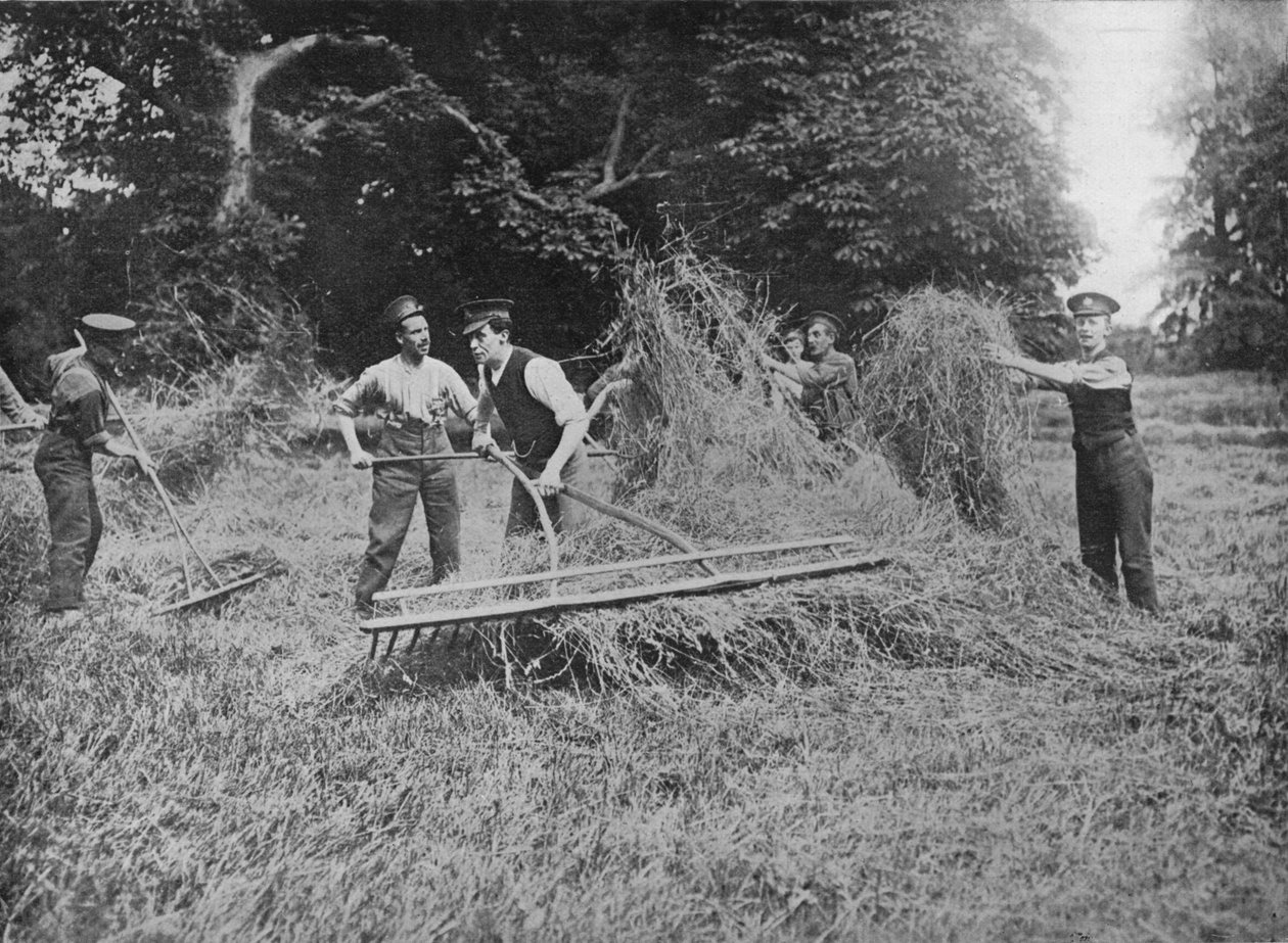 Żołnierze asystujący rolnikom przy wsiadaniu do siana, 1915 autorstwa Unbekannt