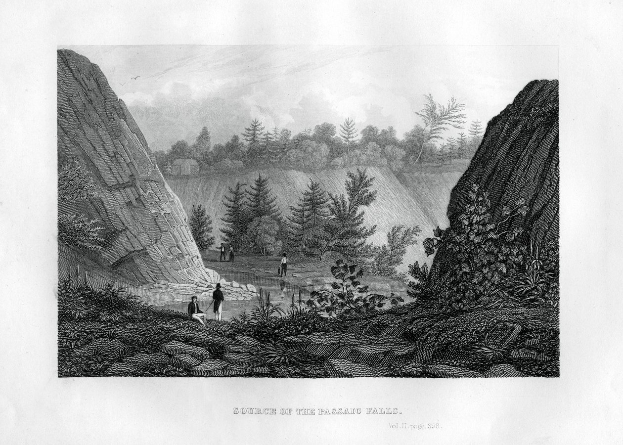 Źródło wodospadów Passaic, New Jersey, 1855 autorstwa Unbekannt