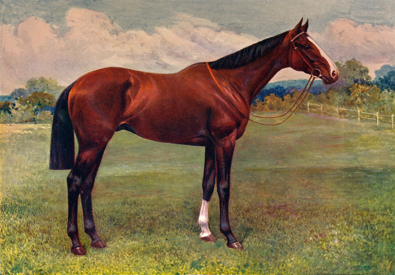 Mięta zielona, ok. 1905 r., ok. 1910 r autorstwa Unbekannt