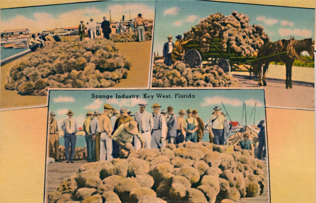 Przemysł gąbki, Key West, Floryda, c1940 autorstwa Unbekannt