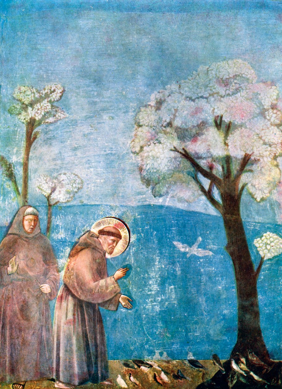 Głoszenie św. Franciszka do ptaków, 1297-1299, ok. 1900-1920 autorstwa Unbekannt