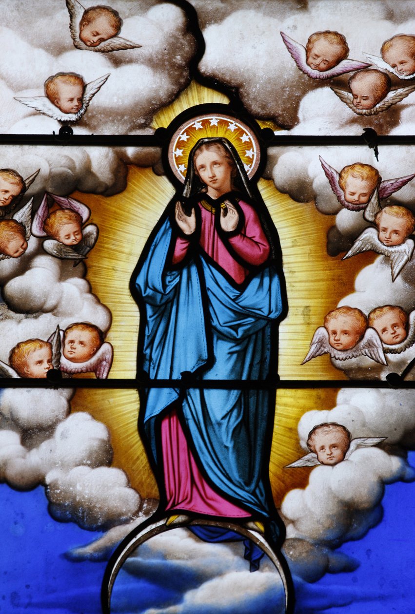 Witraże w katedrze Saint-Louis: Dziewica Maryja, Blois, Francja autorstwa Unbekannt
