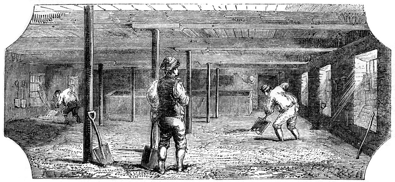 Słód słony, kanapkowy i podłogowy, 1886 autorstwa Unbekannt