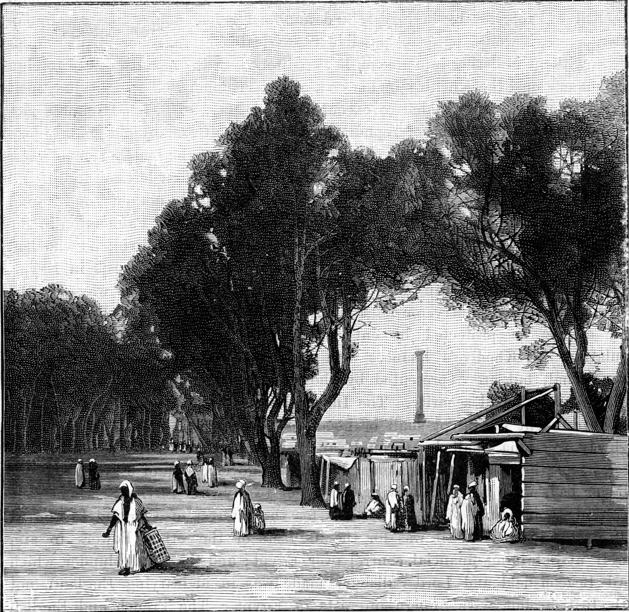 Scena uliczna z filarem Pompejusza w oddali, Aleksandria, Egipt, 1900 autorstwa Unbekannt
