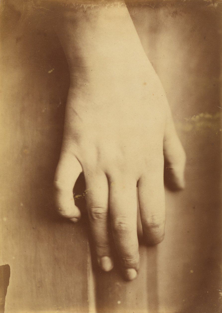 Studium ręki, 1865. autorstwa Unbekannt