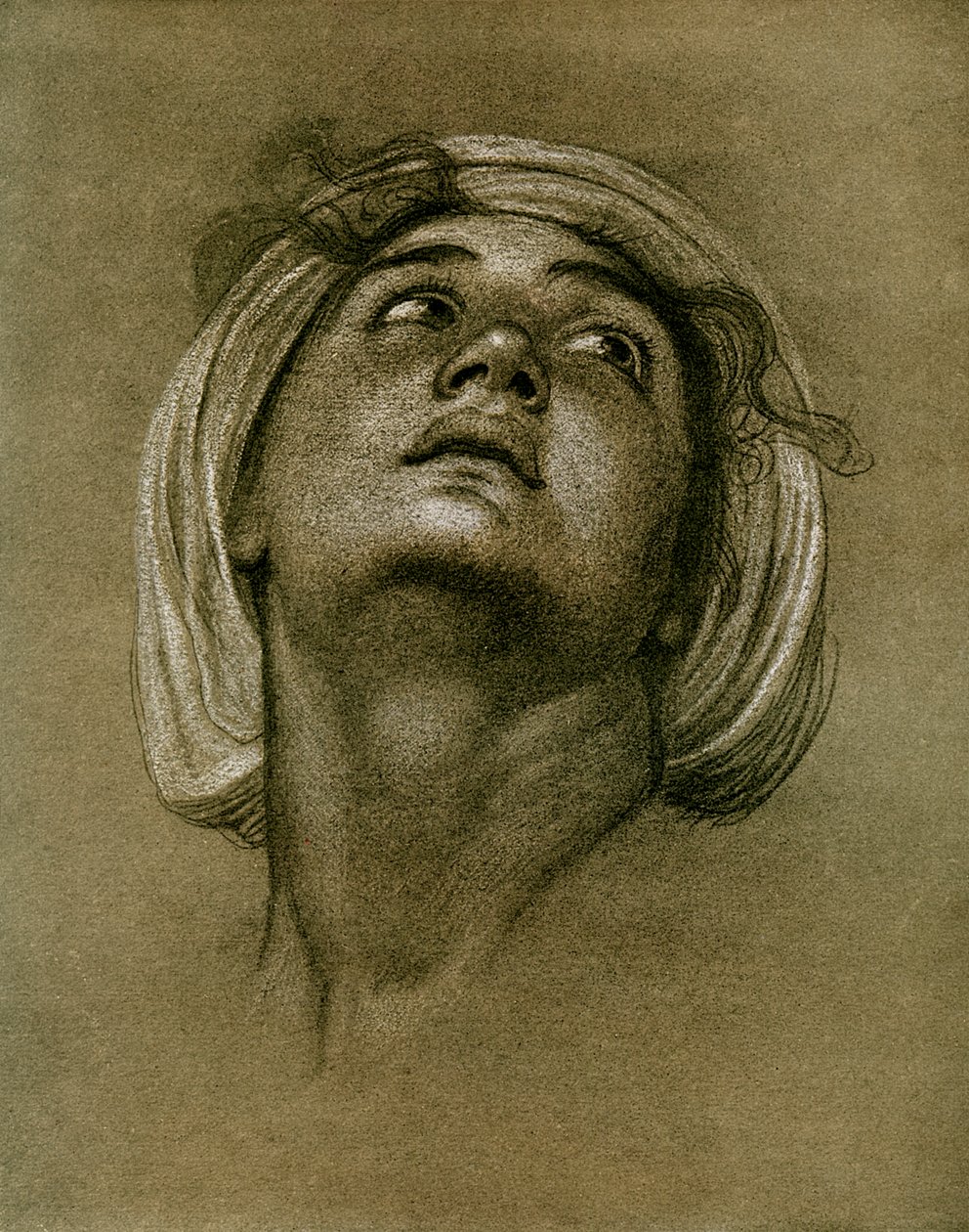 Studium głowy, 1901 autorstwa Unbekannt