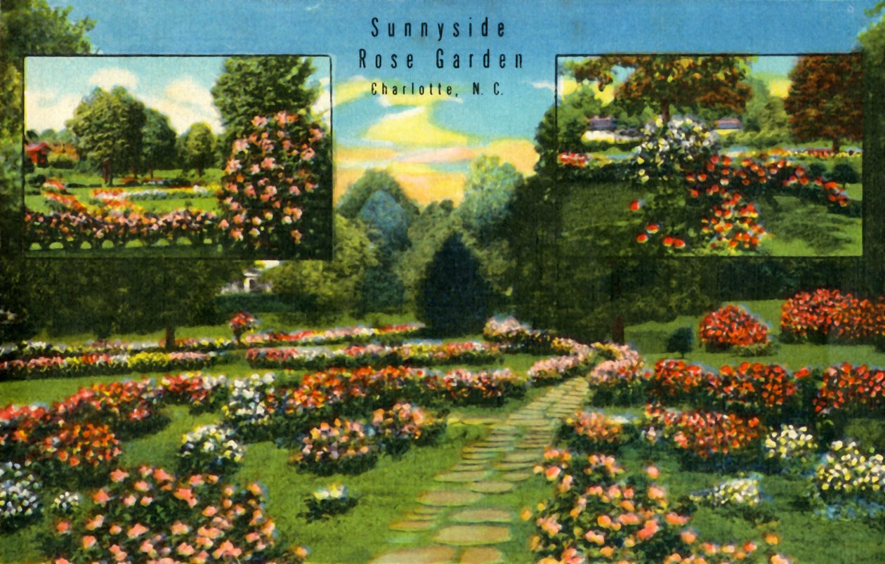 Sunnyside Rose Garden, Charlotte, NC, 1942. autorstwa Unbekannt