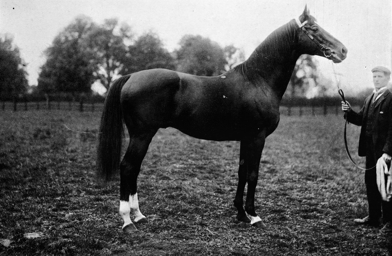 Surefoot, 1911 autorstwa Unbekannt