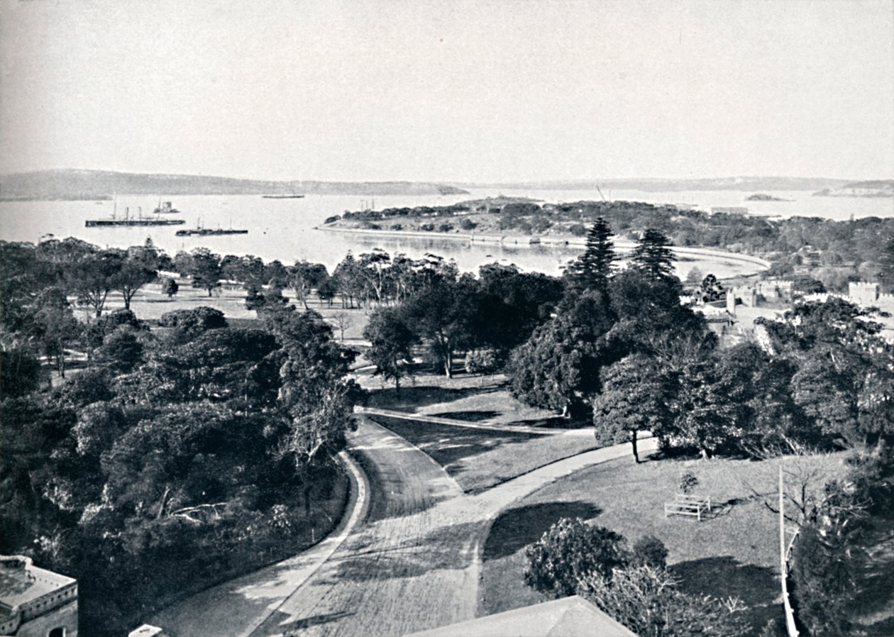 Sydney Harbour i ogrody botaniczne, ok. 1900. autorstwa Unbekannt