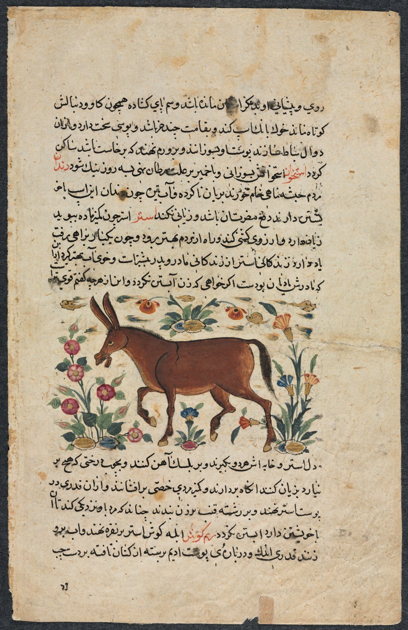 Strona tekstowa, perska proza recto, Khar Ass Verso, 1400s. autorstwa Unbekannt