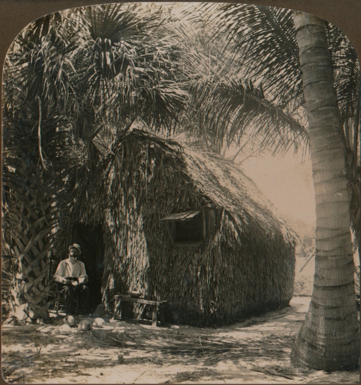 Kryty strzechą domek w Cocoanut Grove, Floryda, USA, c1900 autorstwa Unbekannt