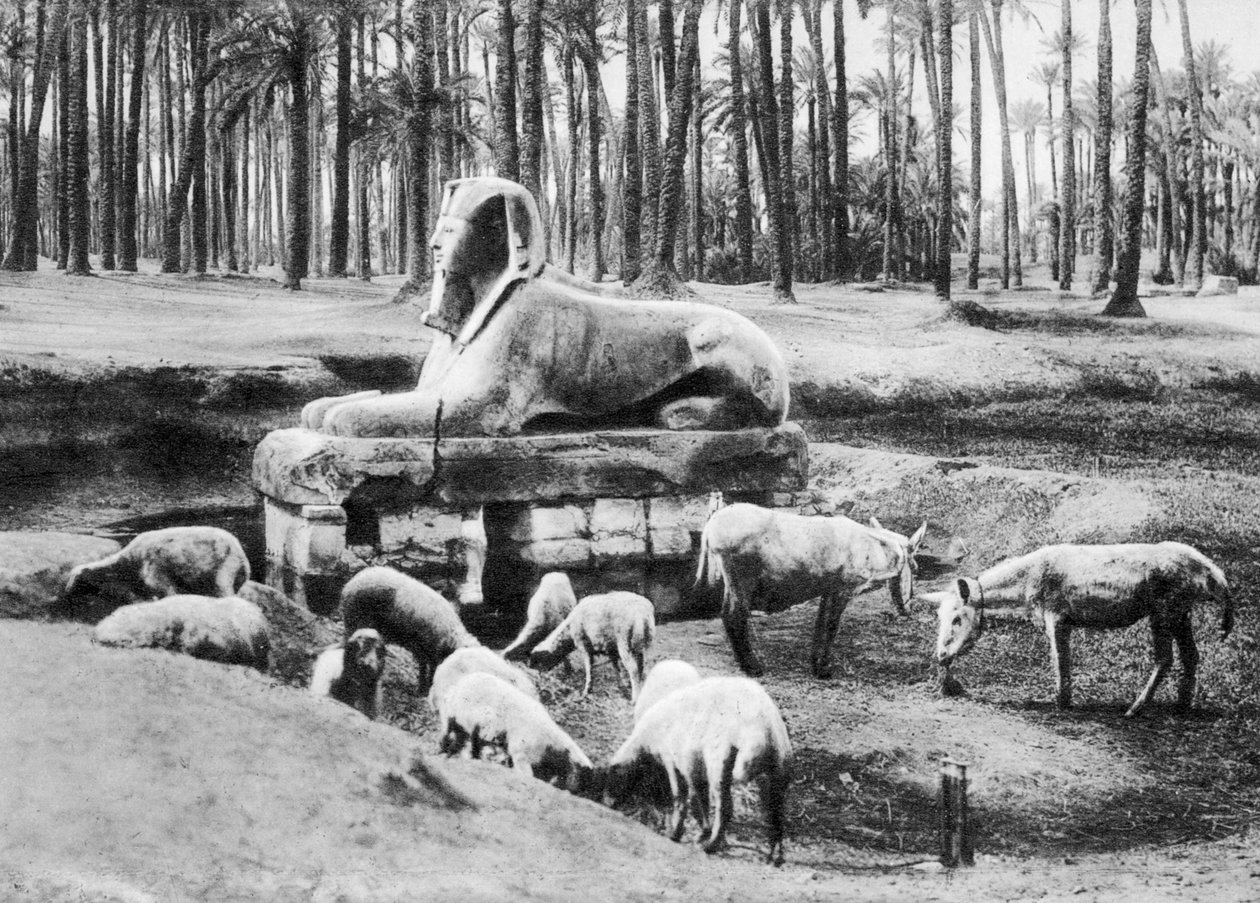 Sfinks alabastrowy, Kair, Egipt, ok. 1920 r. autorstwa Unbekannt