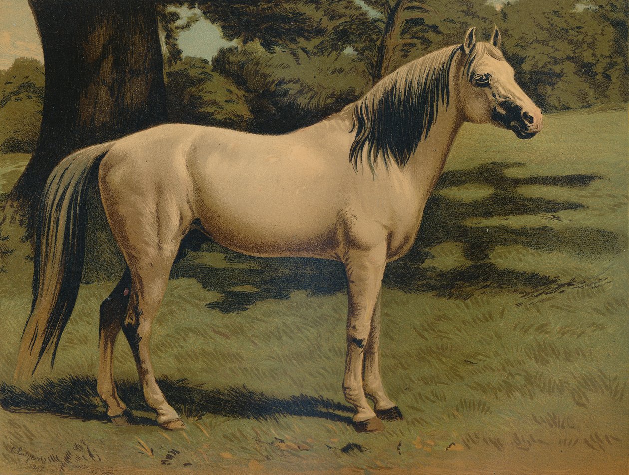 Arabski kucyk Charger generała Sir Hope Granta, c1879. autorstwa Unbekannt