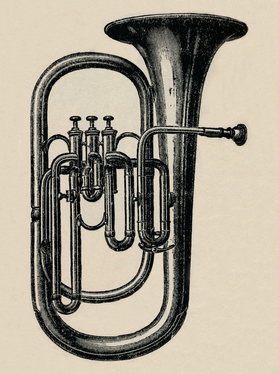 Baryton, 1910. autorstwa Unbekannt