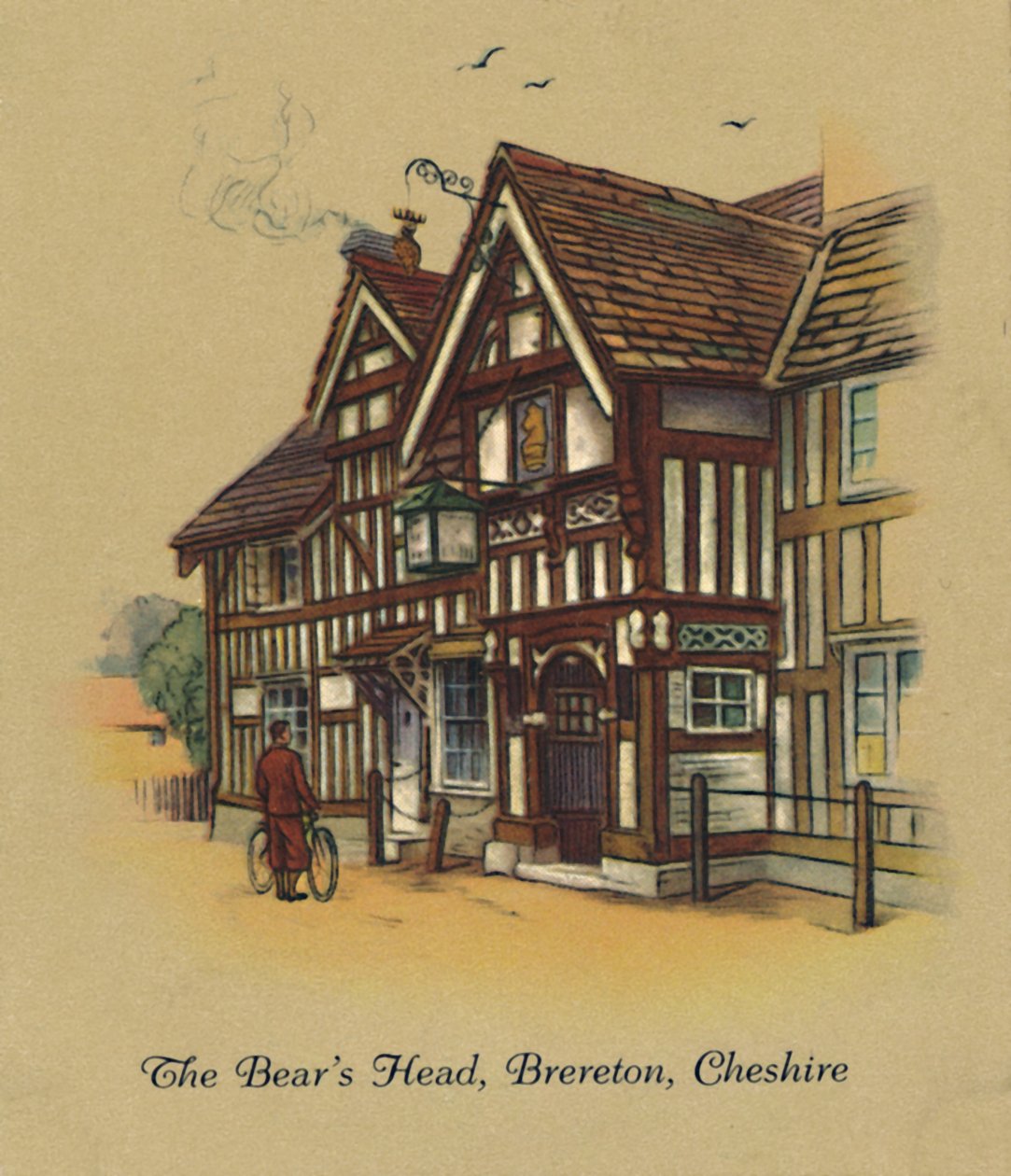 Głowa niedźwiedzia, Brereton, Cheshire, 1939 autorstwa Unbekannt