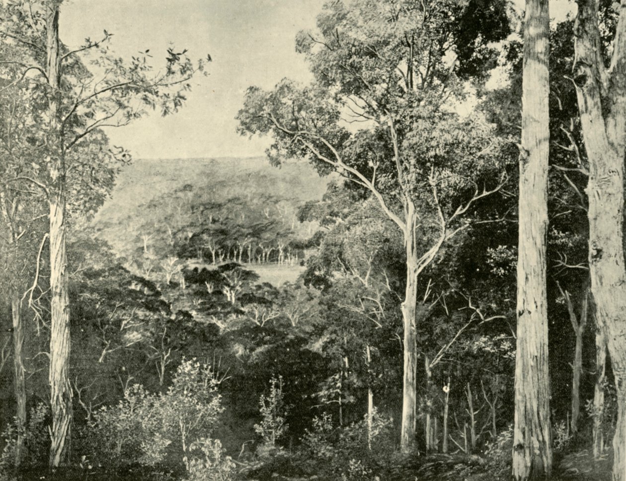 Góry Błękitne, 1901. autorstwa Unbekannt