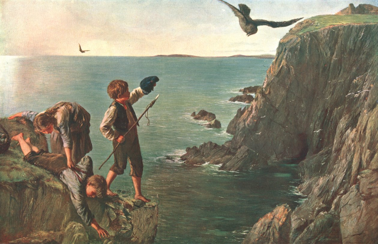 Bonxie, Szetlandy, 1873, c1902. autorstwa Unbekannt