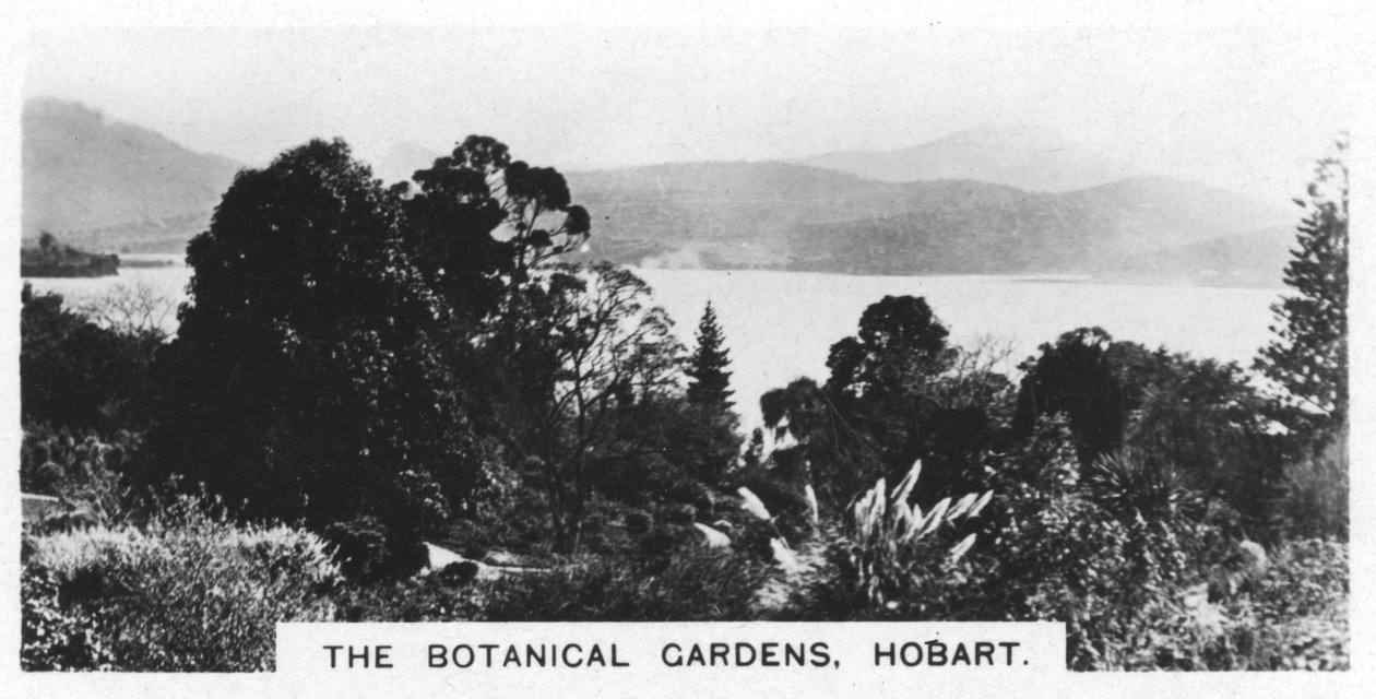Ogrody Botaniczne, Hobart, Tasmania, 1928 autorstwa Unbekannt