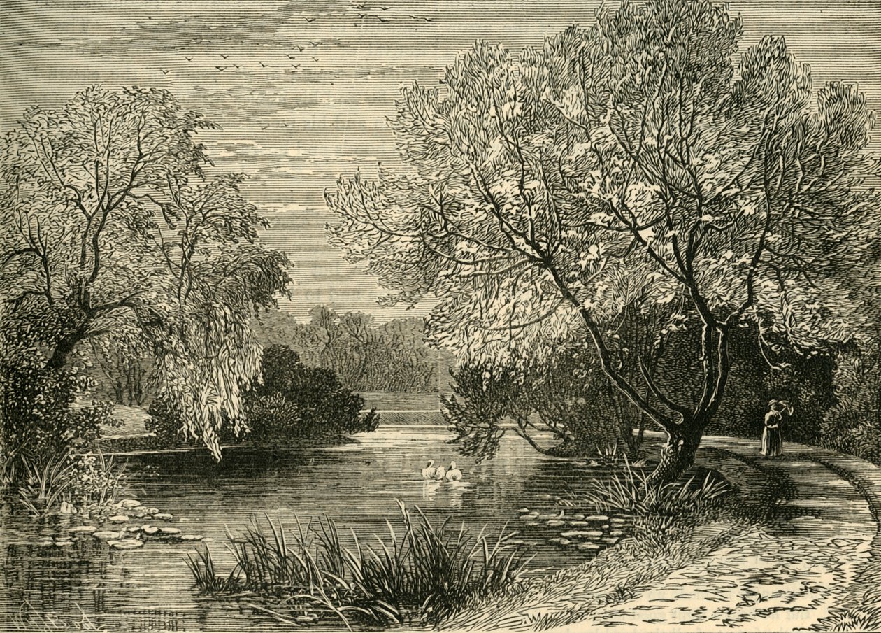 Ogród Botaniczny, Regents Park, ok. 1876 r. autorstwa Unbekannt