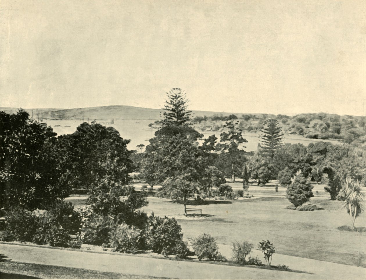 Ogrody Botaniczne Sydney, 1901. autorstwa Unbekannt