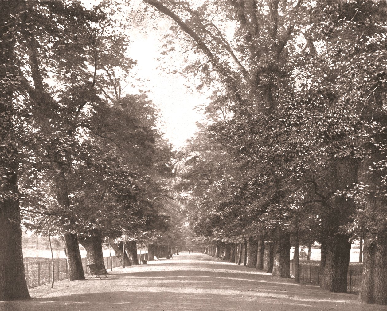 The Broad Walk, Oksford, 1894. autorstwa Unbekannt