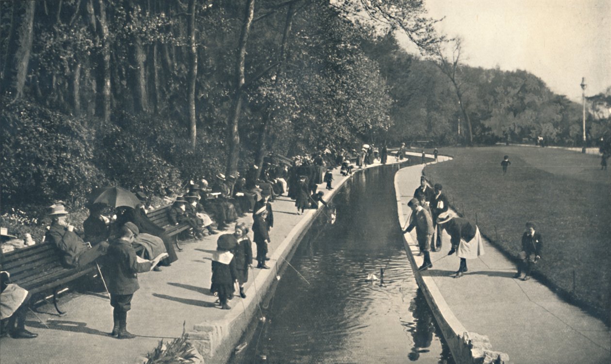 Potok, Dolne Ogrody, ok. 1910 r. autorstwa Unbekannt